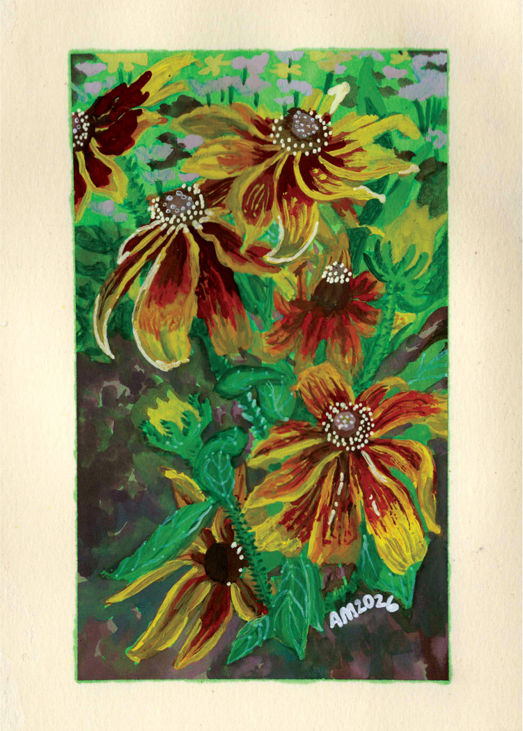 Black-Eyed Susan, an Original Art Print