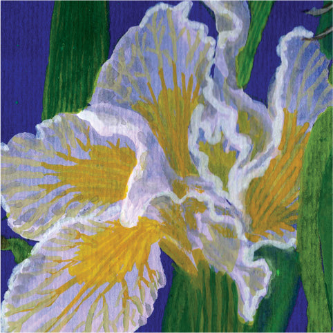 An impressionistic painting of white and yellow irises with green leaves against a deep blue-purple background.