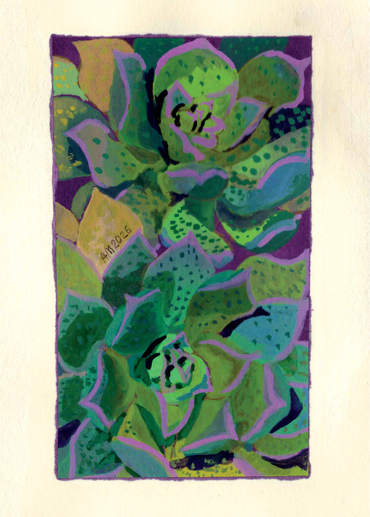 Pinwheel Succulents, an Original Art Print