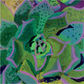 Pinwheel Succulents, an Original Art Print